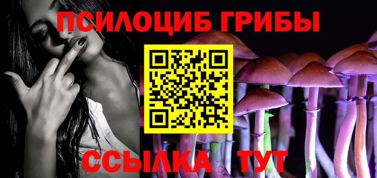 Калуга  Галлюциногенные грибы Psilocybe  Вход с VPN 